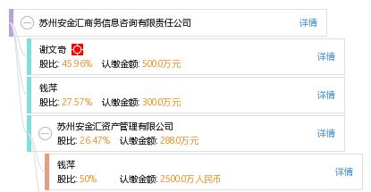 商务信息咨询服务的价值与实践 以苏州安金汇为例